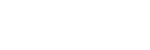digisea Logo